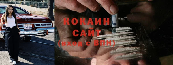 сатива Богданович